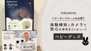 【レビュー】ベビーセンスホームは必要？体動検知とカメラで安心な育児を